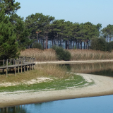 Lagoa de Pataias